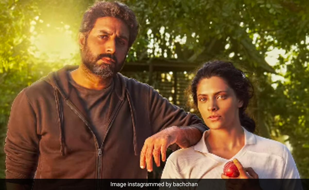 अभिषेक बच्चन के लिए गेम चेंजर होगी 'घूमर' ? एक्टर ने दिया दो टूक जवाब