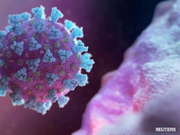 Chinese Team Find Bat Virus Enters Human Cells Via Same Pathway As Covid Chinese Team Find Bat Virus Enters Human Cells Via Same Pathway As Covid