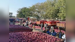 कांदा उत्पादक शेतकऱ्यांना खूशखबर! केंद्र सरकारचा निर्यात शुल्काबाबत मोठा निर्णय