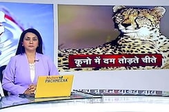 5 की बात : चीतों की मौत पर सुप्रीम कोर्ट के सवालों का सरकार ने क्या जवाब दिया? 5 की बात : चीतों की मौत पर सुप्रीम कोर्ट के सवालों का सरकार ने क्या जवाब दिया?