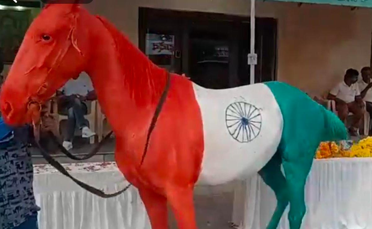 कानूनी पचड़े में फंसा गया Reel का चस्का, अजमेर में घोड़ी को तिरंगे के रंग में रंगने वाले पर FIR दर्ज