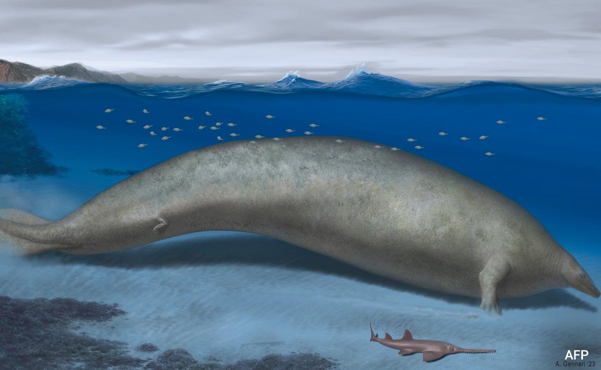 Animal That Lived Nearly 40 Million Years Ago Could Be Heaviest Ever