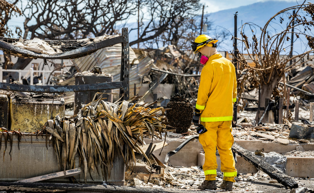 Why Sirens Weren't Sounded During Hawaii Wildfire? Officer Explains