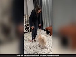 Watch: Cat Sets Guinness World Record With Jump-Roping Feat Watch: Cat Sets Guinness World Record With Jump-Roping Feat