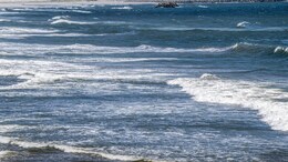 Sea Levels Rising Faster In Pacific Than Elsewhere: Report