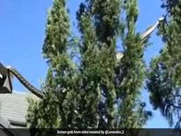 घर की छत पर रेंगता दिखा 16 फुट का विशाल अजगर, डर से चीखने चिल्लाने लगे लोग और फिर... घर की छत पर रेंगता दिखा 16 फुट का विशाल अजगर, डर से चीखने चिल्लाने लगे लोग और फिर...
