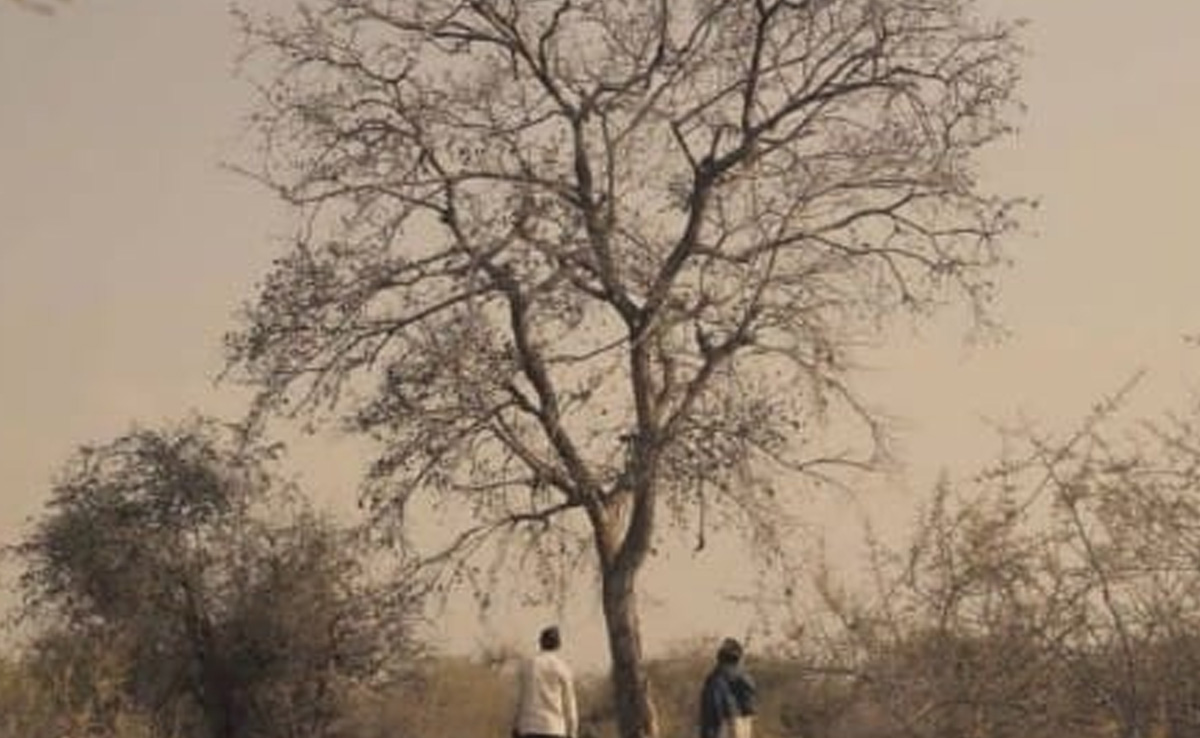 ग्वालियर : "बासन" फिल्म ने कांस फिल्म फेस्टिवल में रचा इतिहास, इंडिपेंडेंट फीचर फिल्म का मिला अवार्ड