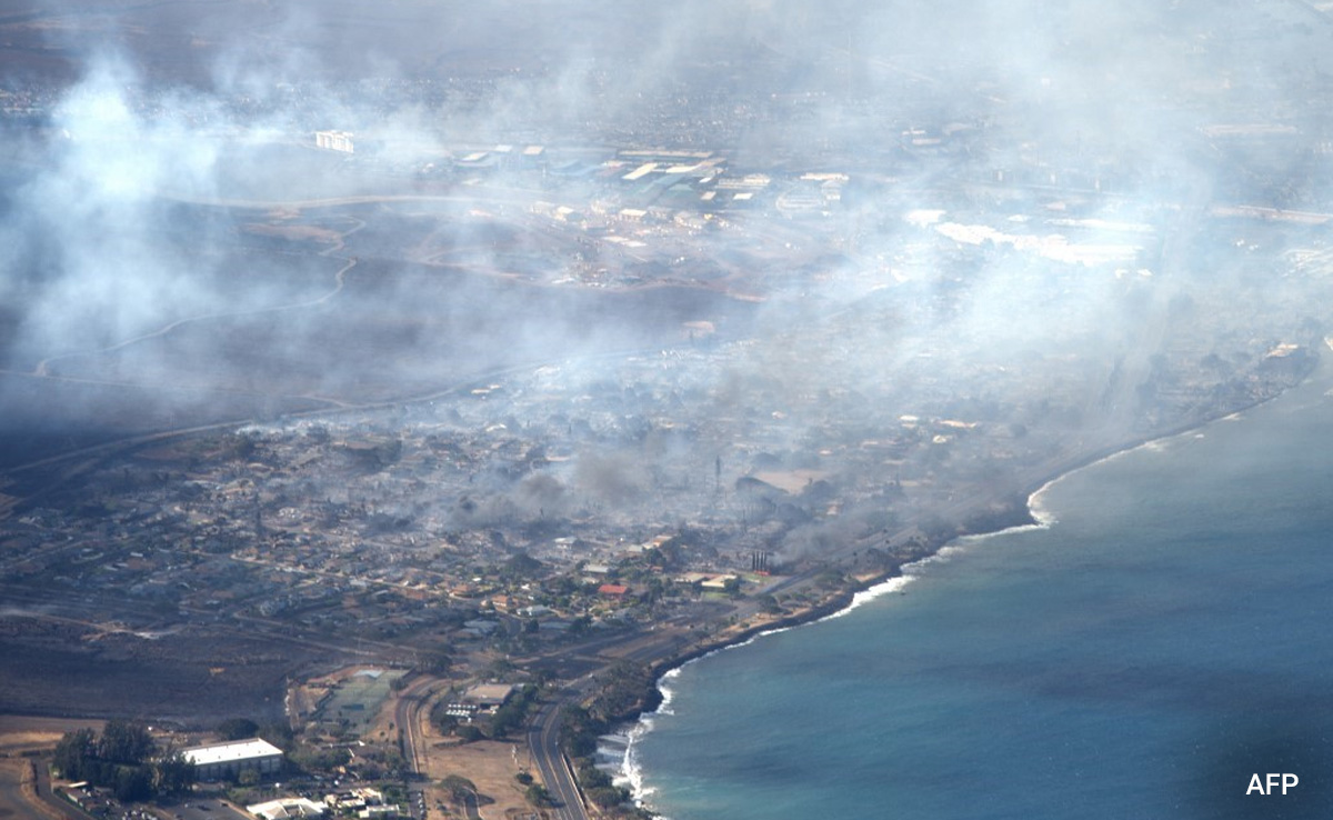 Explained: What Caused Hawaii's Devastating Wildfires