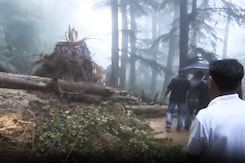 Shimla: Trees Uprooted, Roads Blocked, Cars Buried As Rains Trigger Landslide Shimla: Trees Uprooted, Roads Blocked, Cars Buried As Rains Trigger Landslide