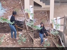 महिला ने नंगे हाथों से एकसाथ पकड़े दो विशाल सांप, हाथ से छूट गया एक सांप, आगे जो हुआ...खड़े हो जाएंगे रोंगटे महिला ने नंगे हाथों से एकसाथ पकड़े दो विशाल सांप, हाथ से छूट गया एक सांप, आगे जो हुआ...खड़े हो जाएंगे रोंगटे