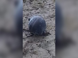 मध्य प्रदेश में आसमान से गिरा ये 'रहस्यमयी गोला' कहां से आया है? खौफ में हैं लोग मध्य प्रदेश में आसमान से गिरा ये 'रहस्यमयी गोला' कहां से आया है? खौफ में हैं लोग