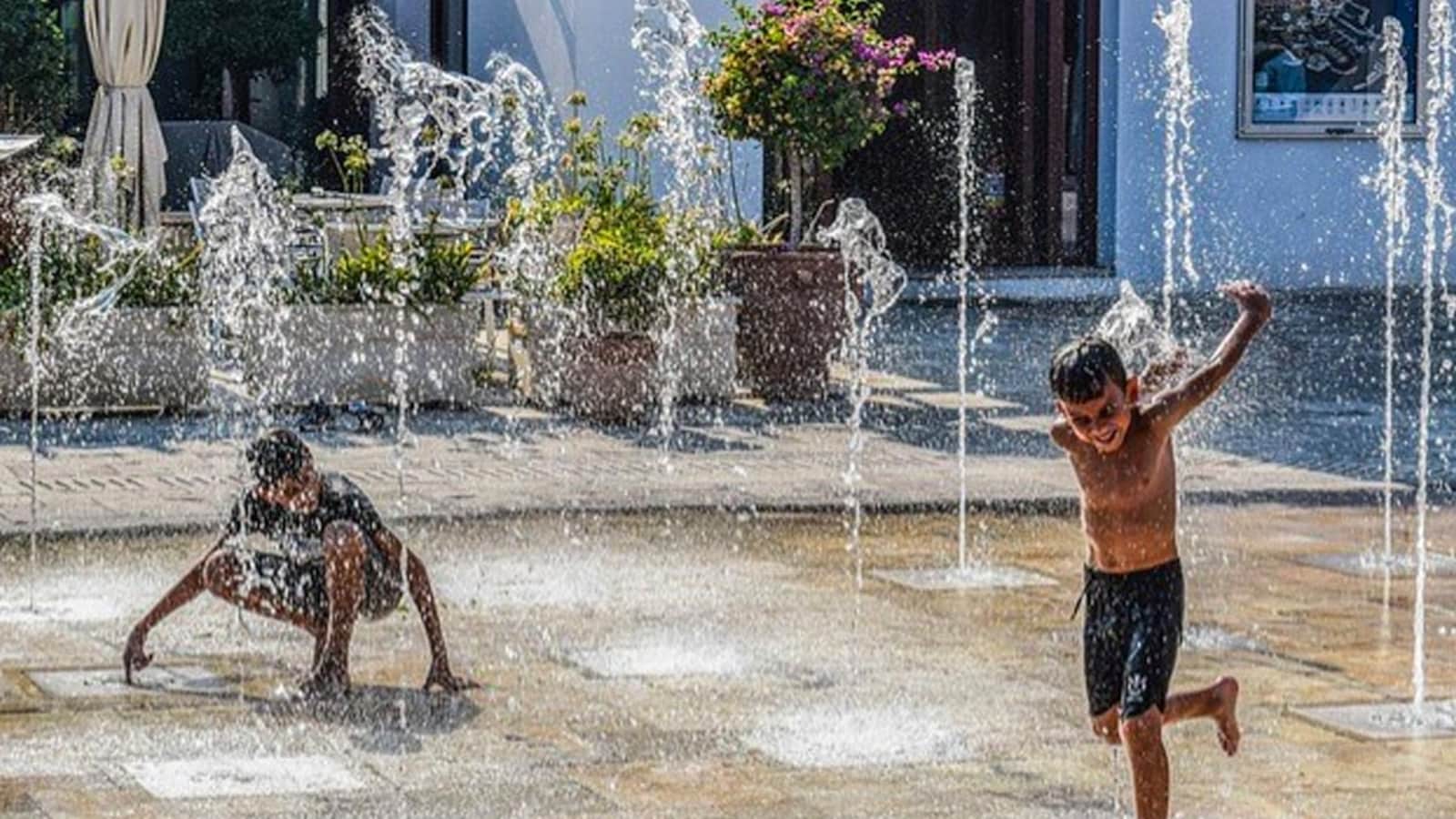 IMD Lowers 2026 Monsoon Forecast Amid Likely El Niño Development