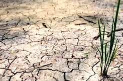 How A Dry August Turned Monsoon Surplus To Deficit How A Dry August Turned Monsoon Surplus To Deficit