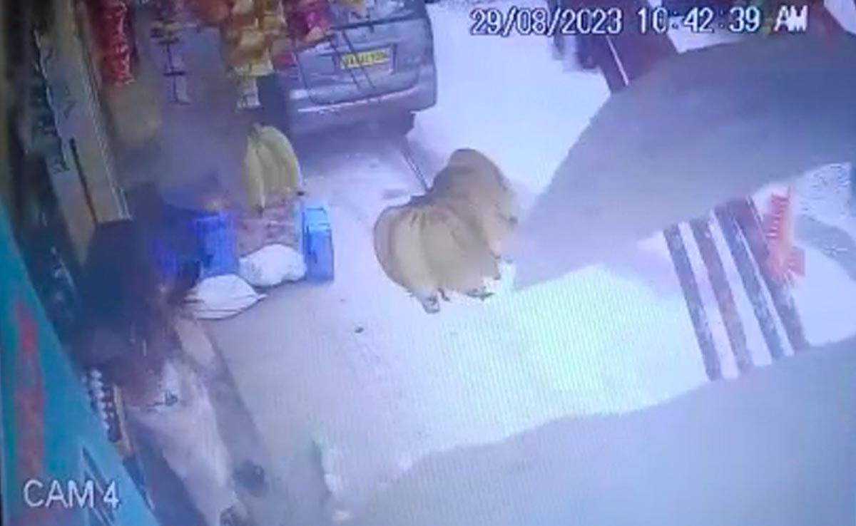 Caught On Video: Woman Narrowly Escapes Speeding Car In Bengaluru