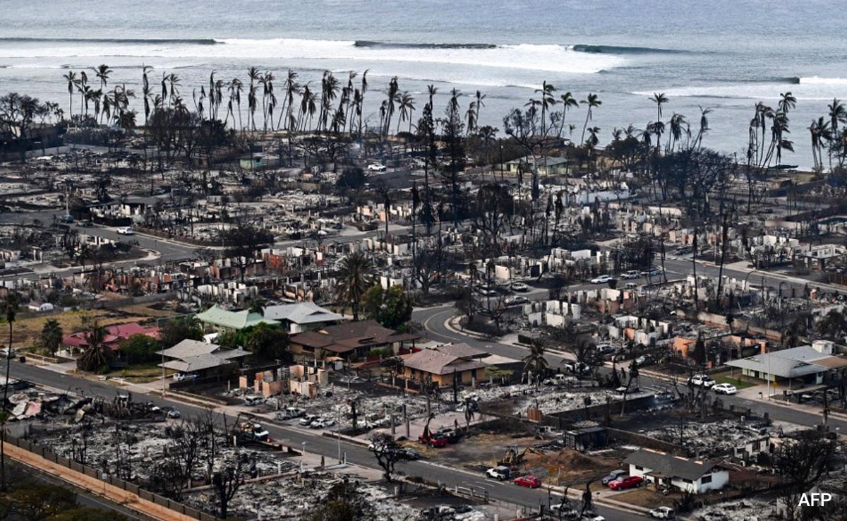 93 Killed In Hawaii Wildfire That Could Be US's Deadliest In Over A Century