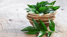 How To Add Curry Leaves To Your Daily Diet: 5 Easy And Healthy Tips