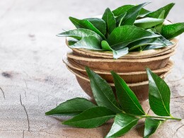 सुबह सबसे पहले करी पत्ता खाने से मिलते हैं ये 5 फायदे, आज से ही कर दीजिए आप भी शुरू