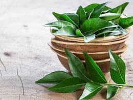 Diabetes: Here's How Chewing Curry Leaves Every Morning Can Help Control Blood Sugar Levels Diabetes: Here's How Chewing Curry Leaves Every Morning Can Help Control Blood Sugar Levels