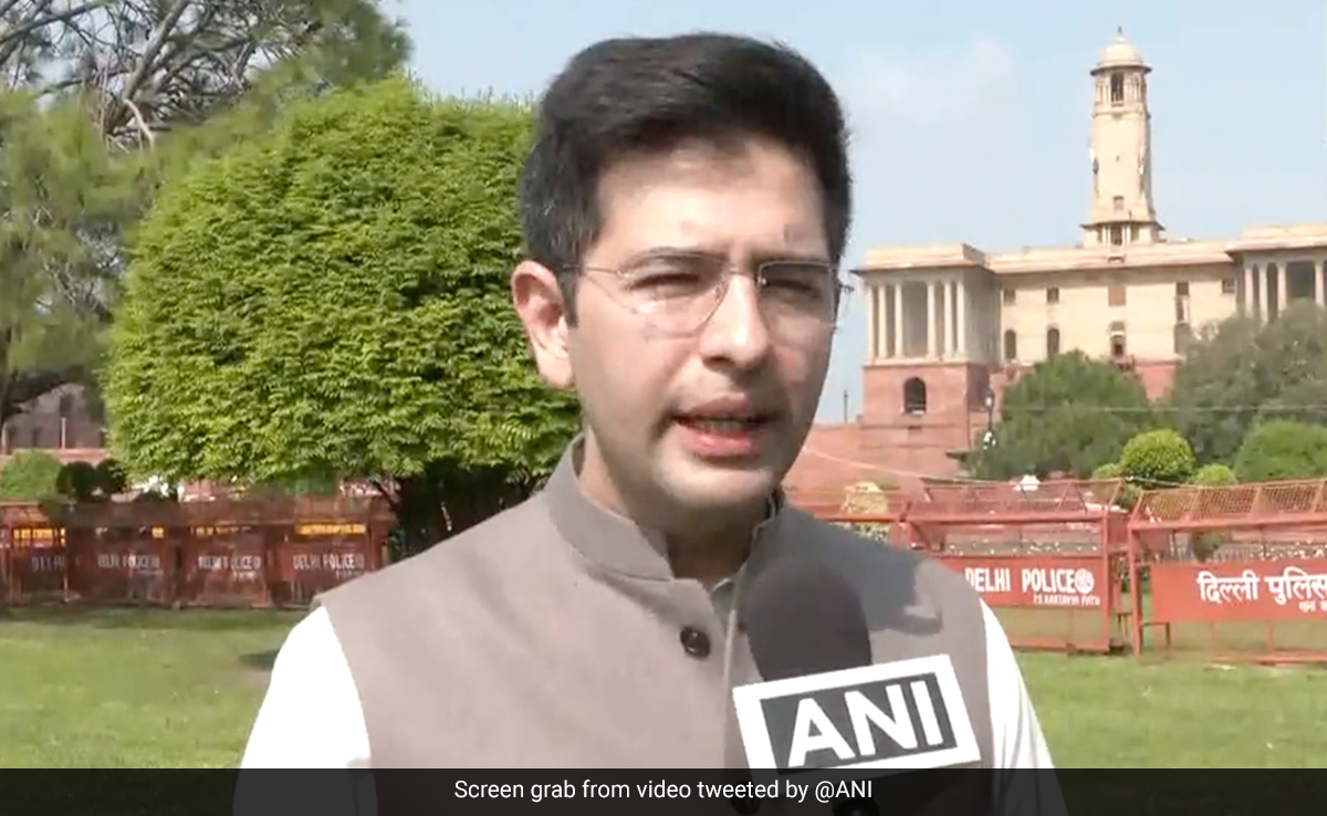 "More Dangerous Than Ordinance...": Raghav Chadha On Delhi Services Bill