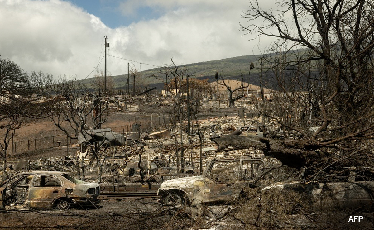 Nearly 100 Dead In Hawaii Wildfires, Only Quarter Of Ruins Searched So Far