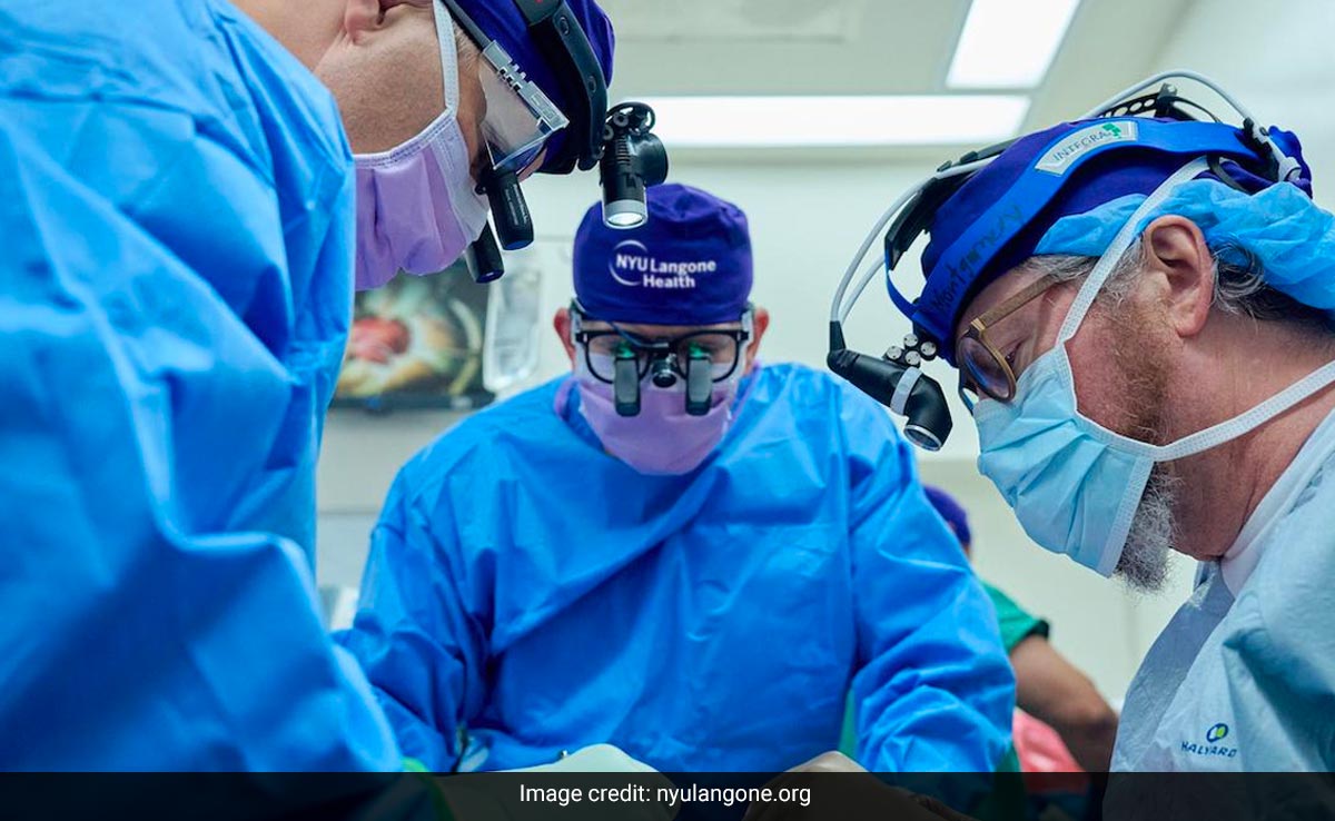 In A First, Man Receives Kidney From Gene-Edited Pig