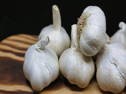 Health : खाली पेट लहसुन खाने से इन बीमारियों से मिलेगा छुटकारा, मोटापा भी होगा कंट्रोल Health : खाली पेट लहसुन खाने से इन बीमारियों से मिलेगा छुटकारा, मोटापा भी होगा कंट्रोल