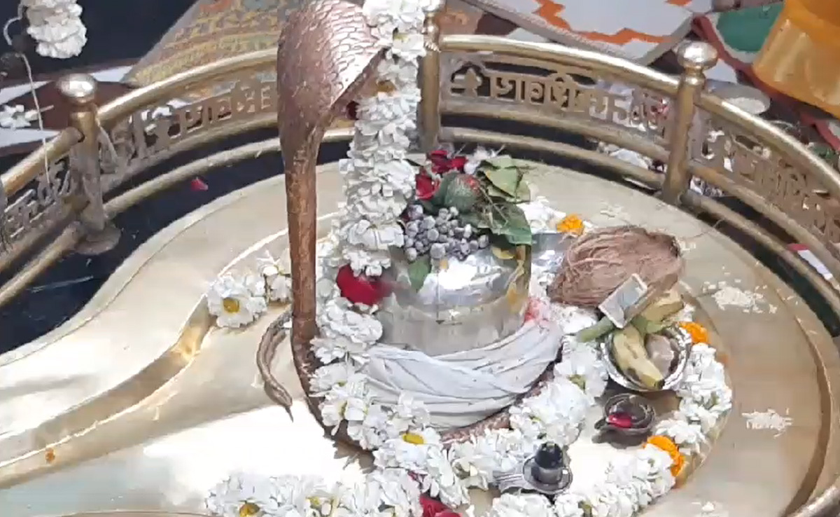 Mahashivratri 2024: भोलेनाथ को पसंद यह फल, शिवलिंग पर चढ़ाने से मिलेगी इन समस्याओं से मुक्ति