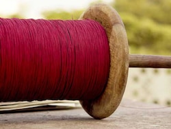 Chinese Kite Strings Turn Deadly Across Madhya Pradesh