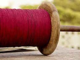 Chinese Kite Strings Turn Deadly Across Madhya Pradesh