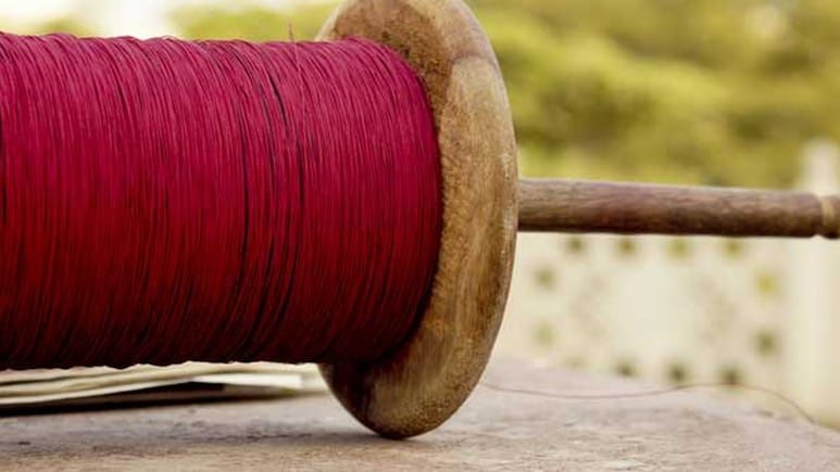 Chinese Kite Strings Turn Deadly Across Madhya Pradesh