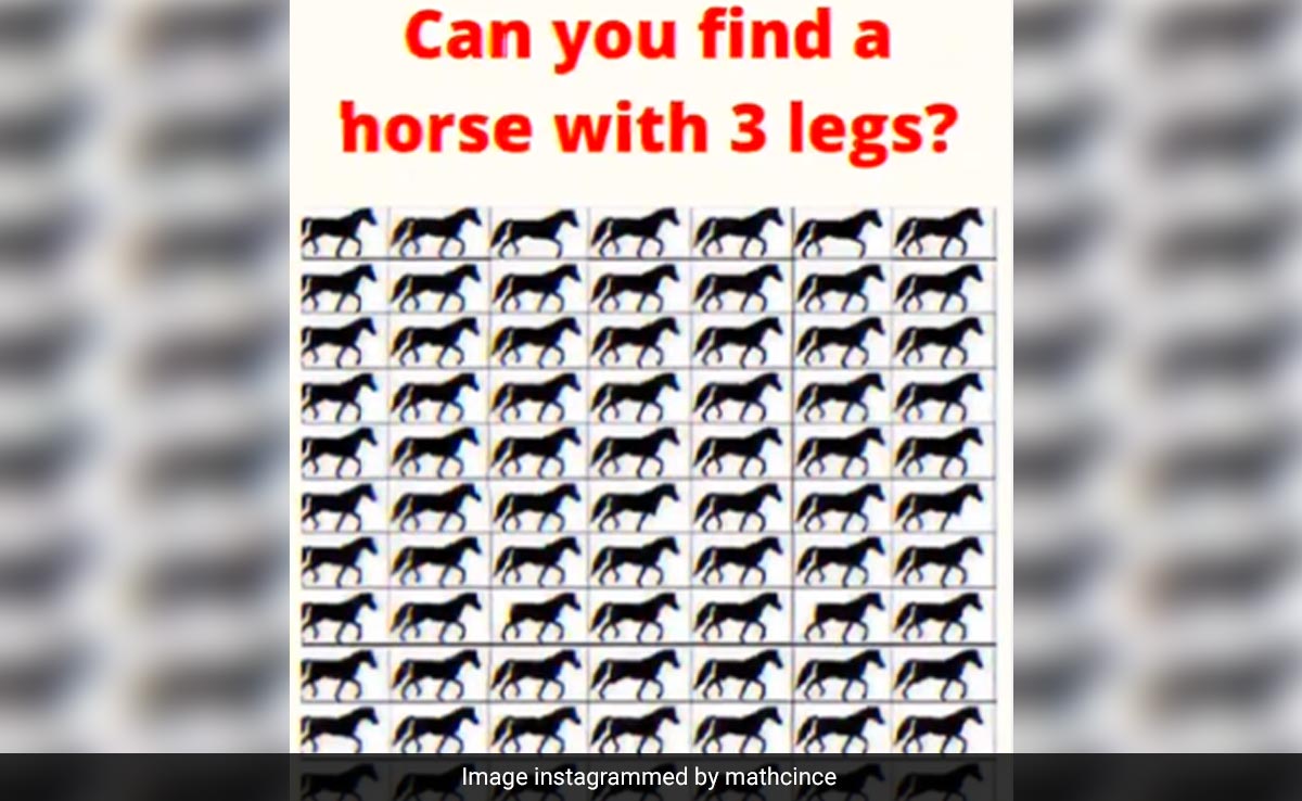 इस तस्वीर में तीन पैरों वाले घोड़े को खोजिए? 5 सेकंड में दिया जवाब तो कहलाएंगे जीनियस