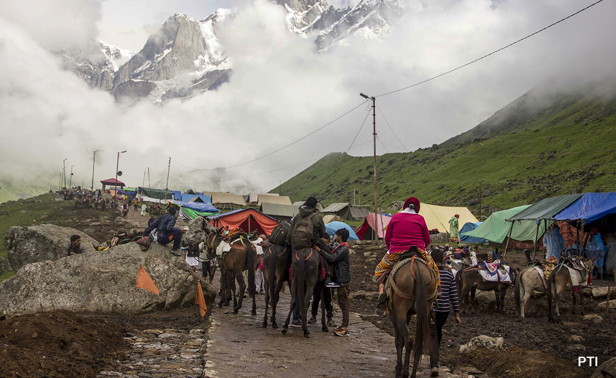 "Blacklist Violaters": High Court Steps In To Check Cruely To Animals On Chardham Route
