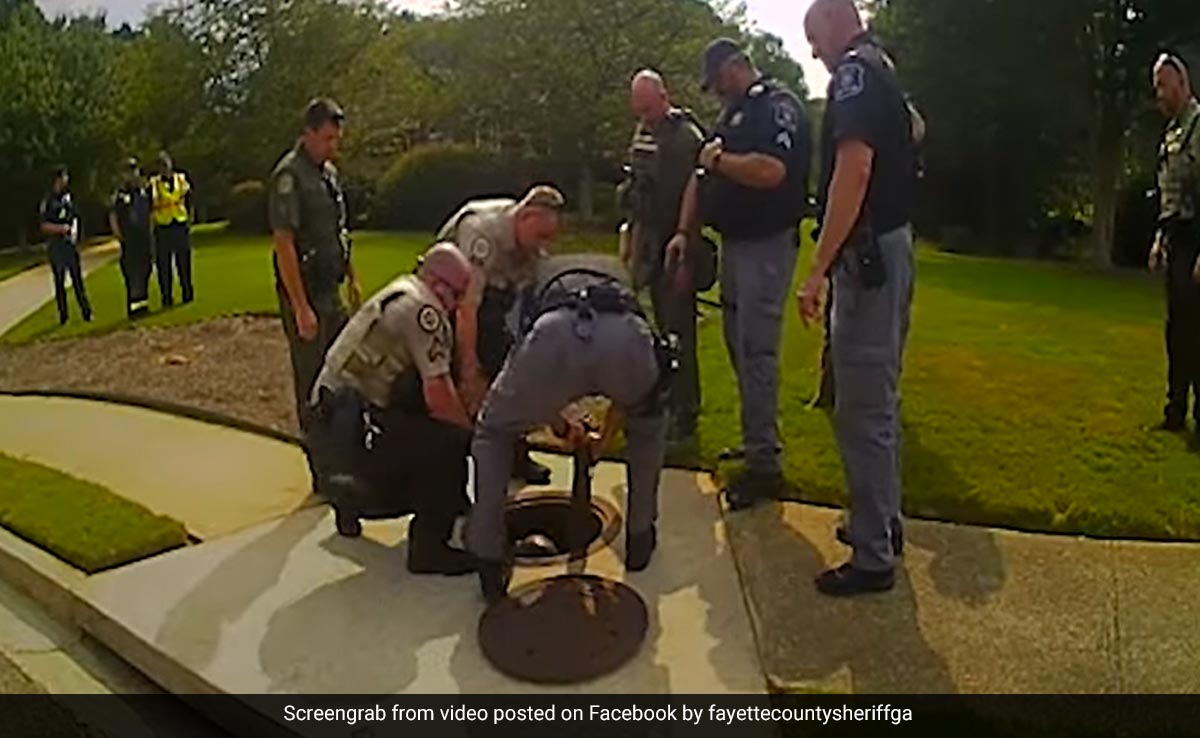 Watch: Suspected Thief Hides In Drain Before Being Pulled Out By US Police