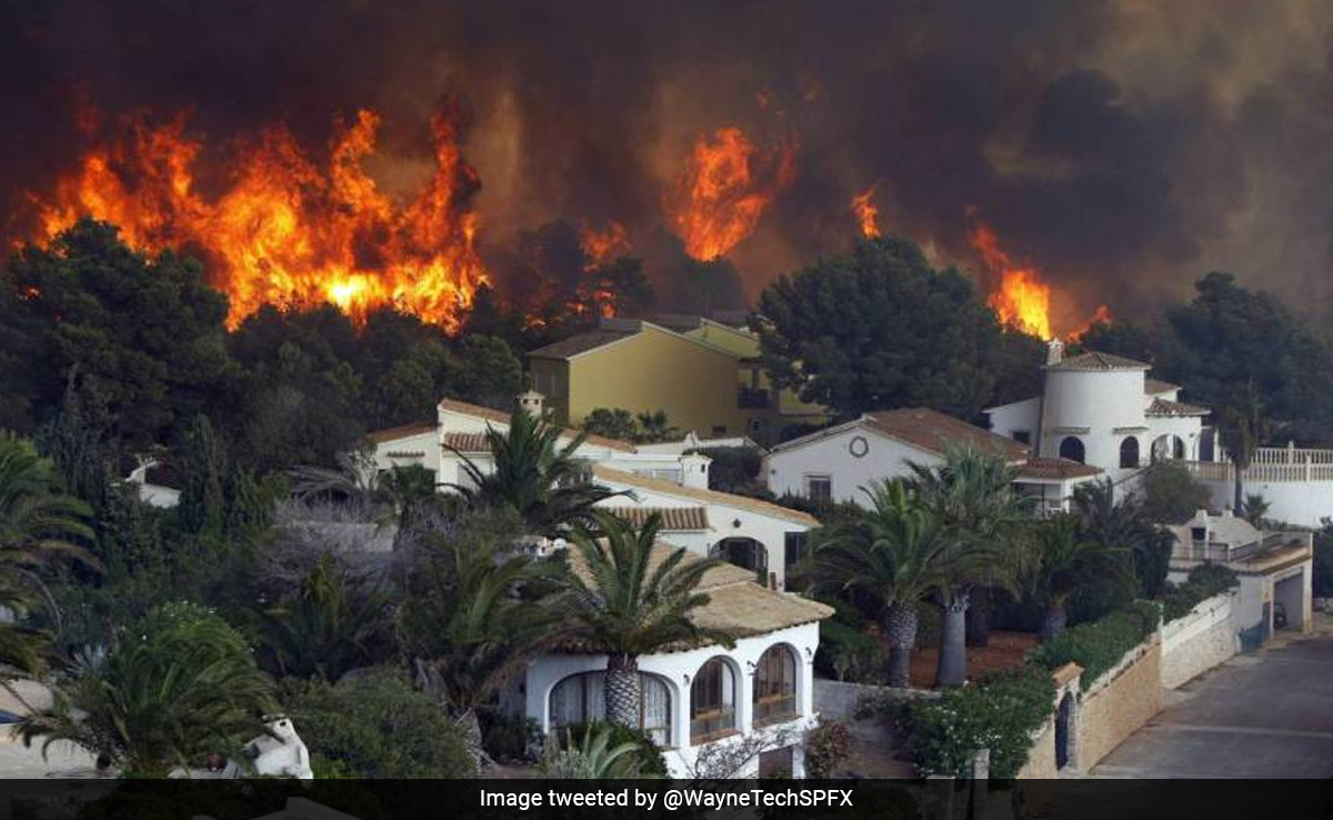 Thousands Forced To Flee Homes As Wildfire Spreads On Spain's Tenerife Island