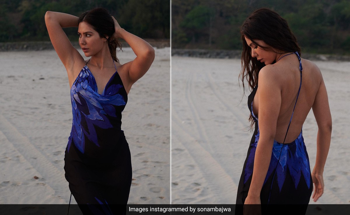 Sonam Bajwa On The Beach Looked "Magical That Day" In Her Blue And Black Gown