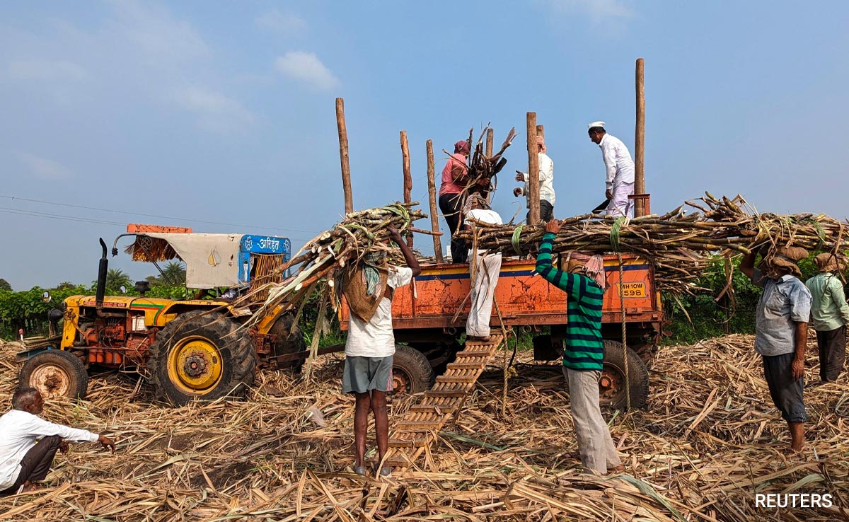 India Set To Ban Sugar Exports For First Time In 7 Years: Report