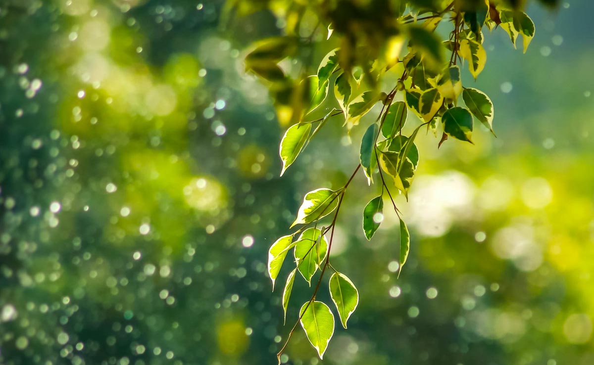 वीकेंड बिताने का ये स्‍टाइल, आपको जरूर करना चाहिए ट्राई