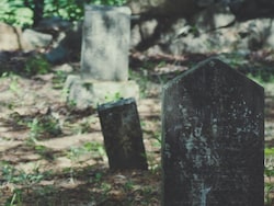 90% Of North Kashmir&#039;s Unmarked Graves Are Of &#039;Terrorists&#039;: Study