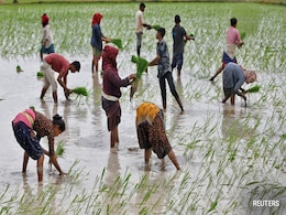 India Witnesses Driest August In 100 Years, Threatening Summer Crops India Witnesses Driest August In 100 Years, Threatening Summer Crops