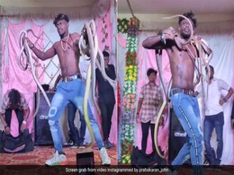 शादी में ढेर सारे सांप लेकर स्टेज पर पहुंच गया शख्स, करने लगा ऐसी हरकत, डर से कांप उठे मेहमान - देखें Video शादी में ढेर सारे सांप लेकर स्टेज पर पहुंच गया शख्स, करने लगा ऐसी हरकत, डर से कांप उठे मेहमान - देखें Video