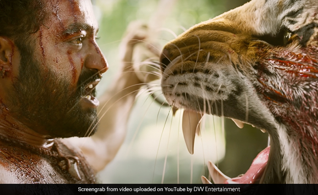 National Awards: SS Rajamouli's Film Wins Big. "It's a Sixer," Says Team <i>RRR</i>