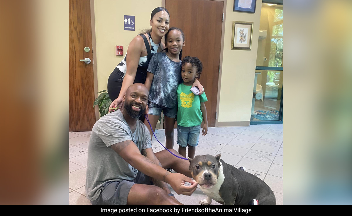 US Family Reunites With Lost Dog After Three Years, Thanks To Microchip