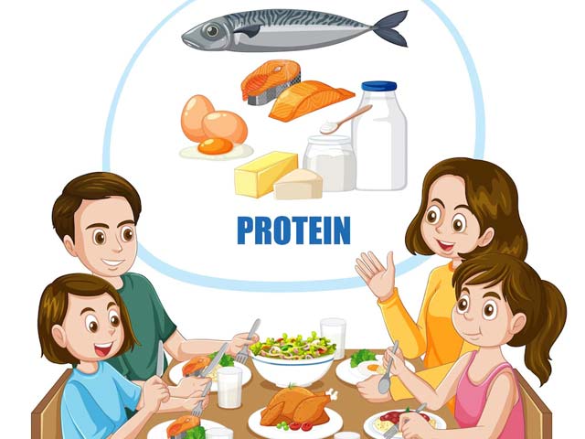 Like Fat, Can The Body Store Protein?