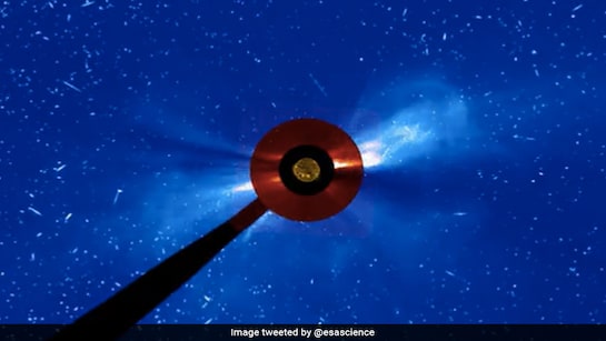 Scientific Implications and Research Opportunities