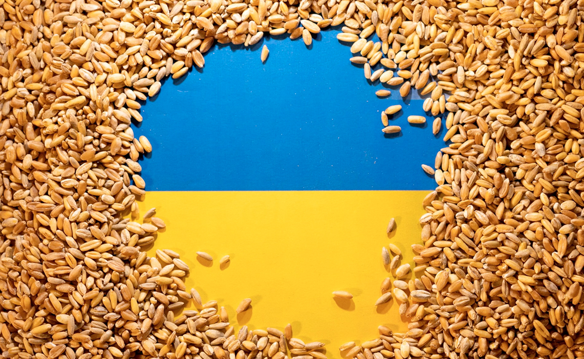 Bulgaria Lifts Ban On Ukraine Grain Imports In "Solidarity"