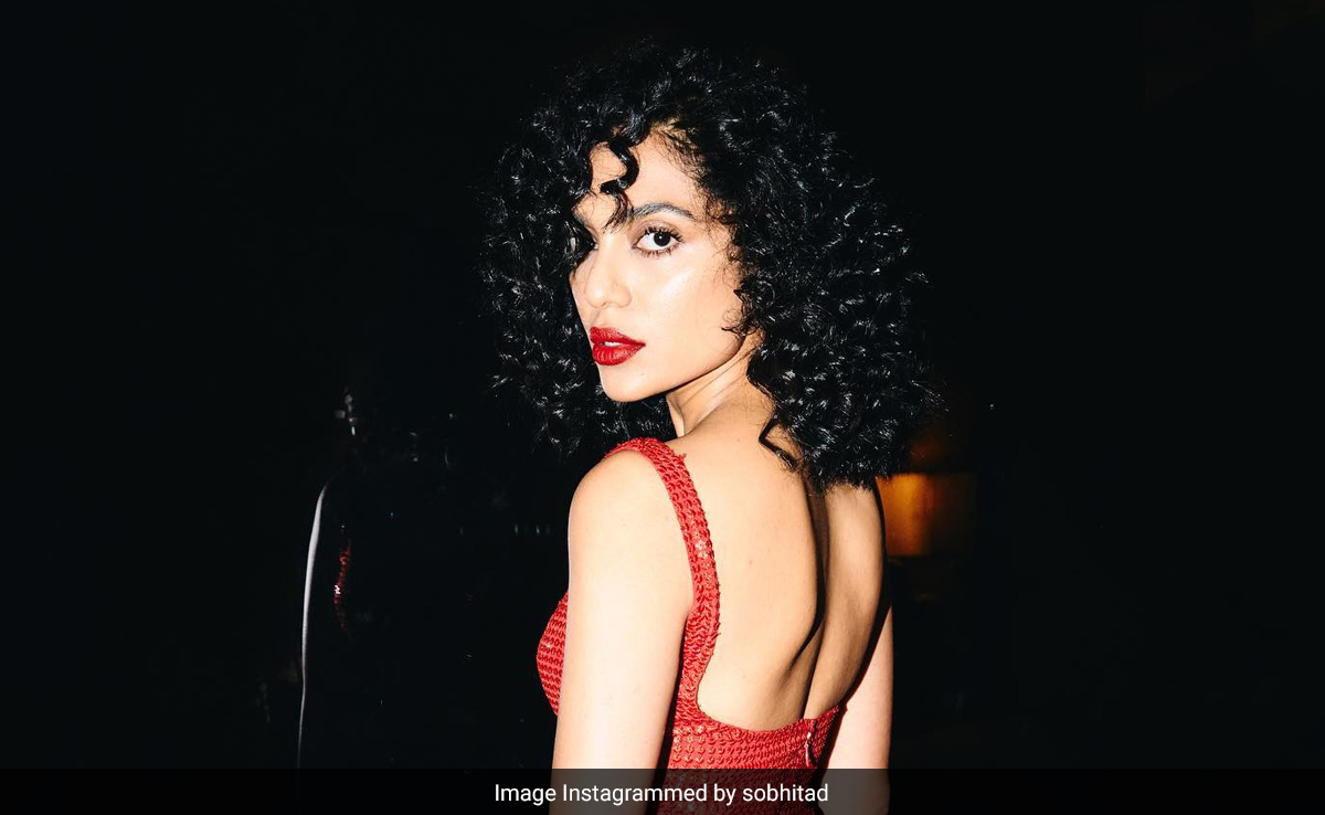 "Would Love To See You In <i>Don 3</i>," A Fan Told Sobhita Dhulipala. Her Reply