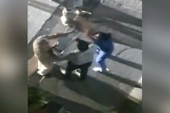 Video: Ghaziabad Man Beaten Up By Woman After Argument Over Dog Feeding Video: Ghaziabad Man Beaten Up By Woman After Argument Over Dog Feeding