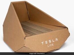 Elon Musk's Tesla Rolls Out Cybertruck-Inspired Cat Bed, For Sale Only In China Elon Musk's Tesla Rolls Out Cybertruck-Inspired Cat Bed, For Sale Only In China