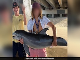 US Teen Slammed For Pulling Dolphin Out Of Water For Instagram Pic: "I Was Enraged" US Teen Slammed For Pulling Dolphin Out Of Water For Instagram Pic: "I Was Enraged"