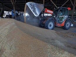 India May Cut Wheat Import Tax To Boost Supply, Check Prices: Report India May Cut Wheat Import Tax To Boost Supply, Check Prices: Report